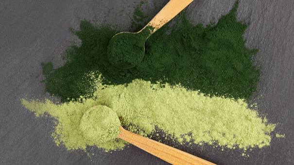 chlorella és a spirulina, rostok, vitaminok, nehézfém megkötő képességek, íztenger.hu 