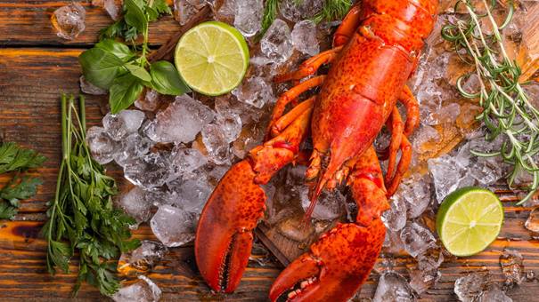 Homár, Lobster, csemege, homár főzése - iztenger.hu