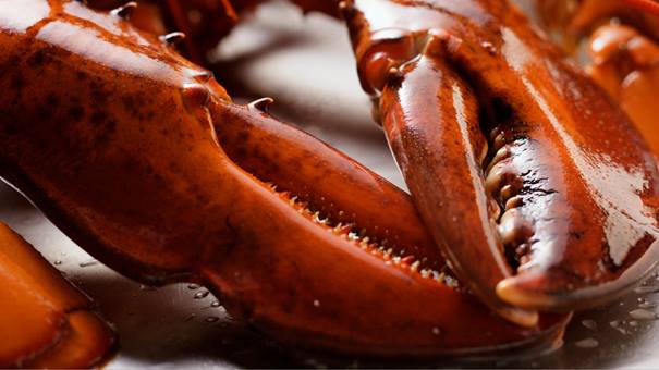 Lobster Claws, homár, karom - iztenger.hu