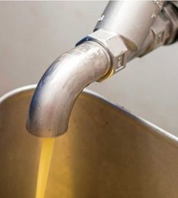 olívaolaj préselése a saját olajmalomban