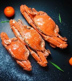 a rák gourmet különlegesség