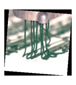 francia spirulina pehely gyártása
