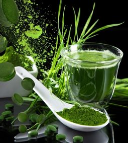 spirulina por